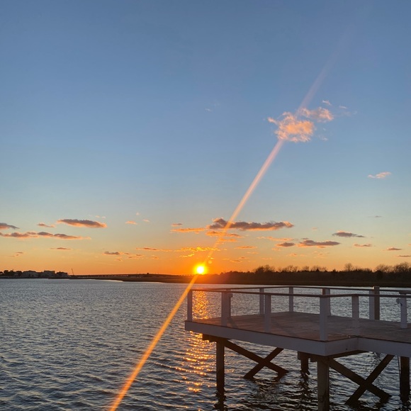 Meet your Posher, Olivia - Picture 1 of 1